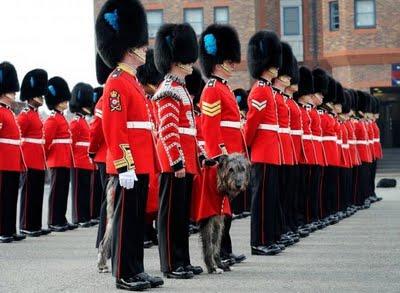 FOTO DEL GIORNO 21 APRILE 2011 : IL CANE NEL PICCHETTO MILITARE