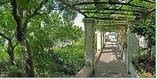 Il Giardino della Minerva_ happy weekend