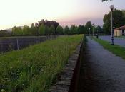 Lucca city walls