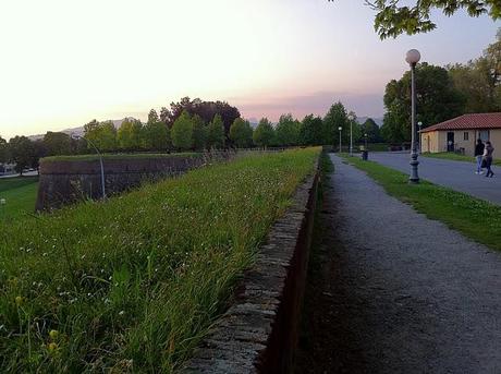 Lucca city walls