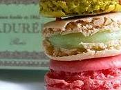 Kenzo Macaron