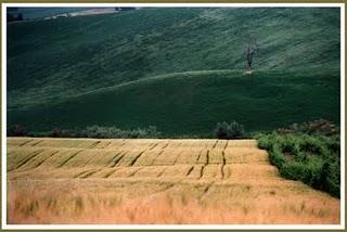 GIORNATA MONDIALE DELLA TERRA