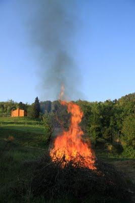 earth day, un po' di buon senso a Pierino