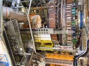 beffa l’Higgs?