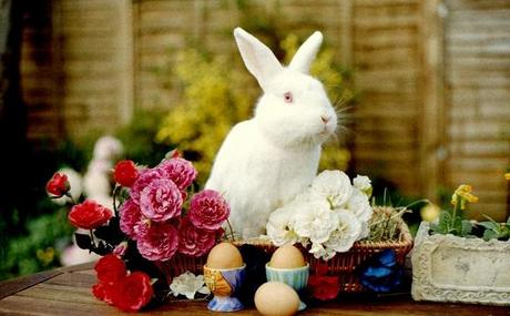 BUONA PASQUA ;)!!!