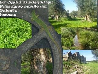 La vigilia di Pasqua nel Paesaggio rurale del Salento leccese