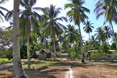 Palawan, Coron, Manila (prima parte)