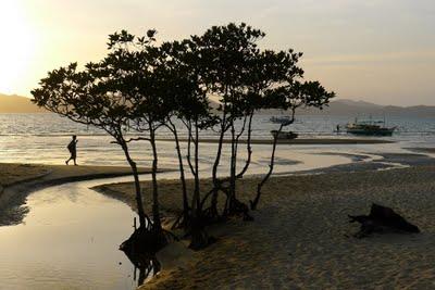 Palawan, Coron, Manila (prima parte)