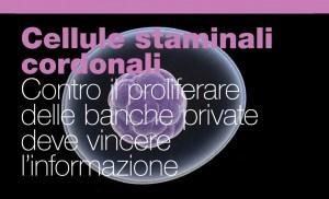 Cellule staminali: un patrimonio da condividere