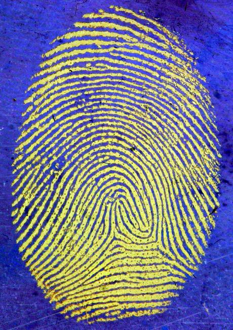 La lunga marcia verso la Green Card: la cattura dei dati biometrici