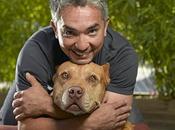 whisperer, aprile Cielo