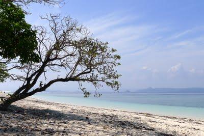 Palawan, Coron, Manila (seconda parte)