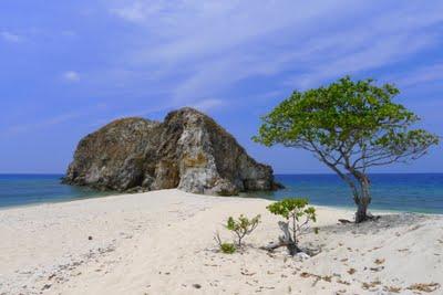 Palawan, Coron, Manila (seconda parte)