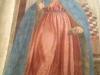 IMG_1321 IMG_1321