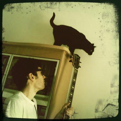 365project • pic 239/365