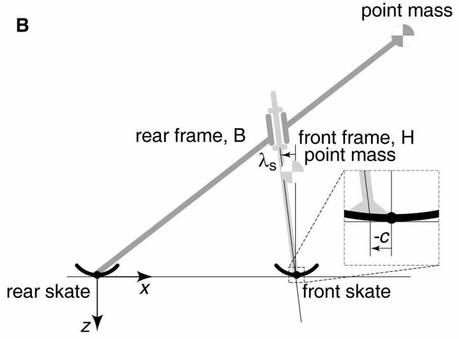 Fisica & bicicletta