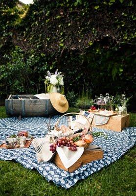 Wedding picnic