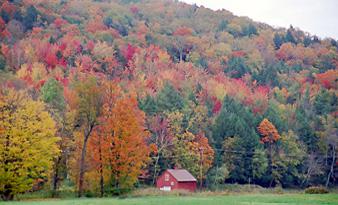 vermont