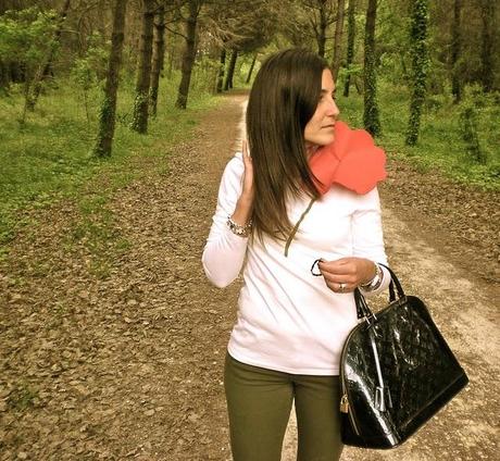 A Poppy in The Forest...