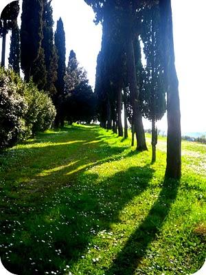 E’ aprile, e tutta la Toscana è primavera...