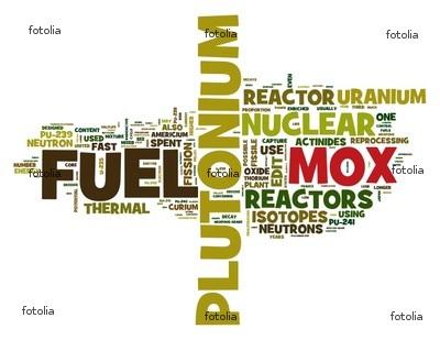 Fukushima: assoluto cover-up dati quantità materiali radioattivi immessi nell'ambiente Seconda parte innoque radiazioni