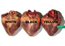 Quando United Colors of Benetton incontrò lo tsunami pubblicitario Oliviero Toscani…