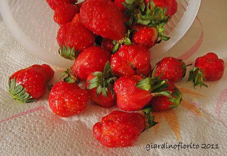 Mousse di fragole