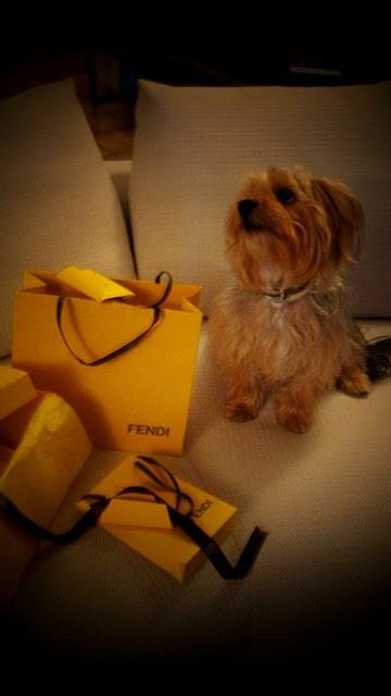 FENDI NEW COLLECTION P.E.2011