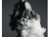 Le foto di Kate Moss su Vogue France Le foto di Kate Moss su Vogue France