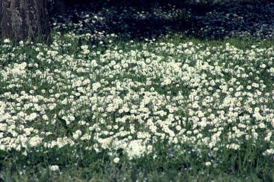 02-03/04/11 48 ore con i piedi sulla sabbia