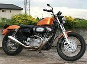 Harley 1200 2001 Pride Motorcycle