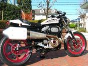 Harley Sportster Dirt Track Taste Concept Motor Cycle Japan