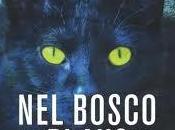 Spazio novità: bosco Chiara Palazzolo