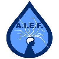 aief epilessia