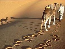 Algeria-deserto