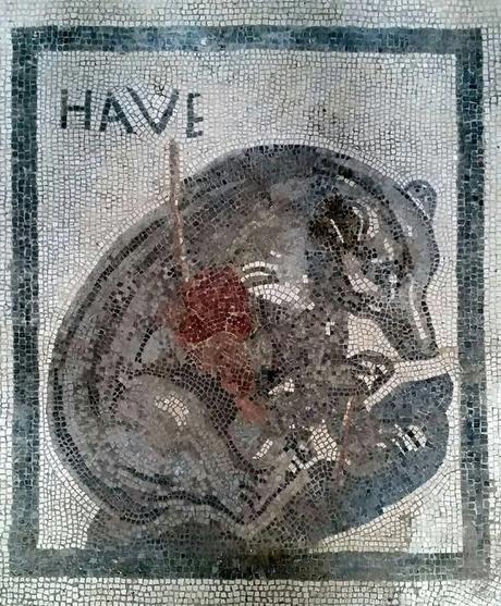Scavi di Pompei: aprono al pubblico la Casa dell’Orso Ferito e la Casa di Sirico