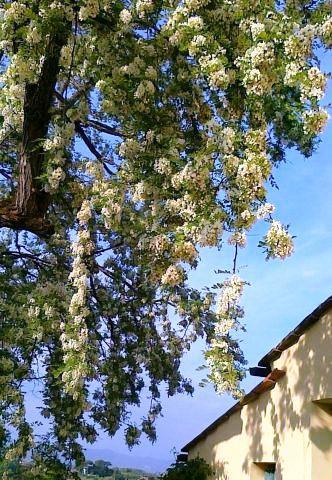 I 10 post più visti in Maggio I 10 post più visti in Maggio