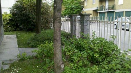 215453 214071085272559 120870567925945 862809 7115 n Come scatta le foto Motorola Milestone 2 a 5 MegaPixel