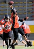 Football Americano: I Dolphins sulla strada dei Rhinos