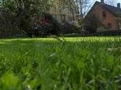 primavera, svegliatevi bambine...
