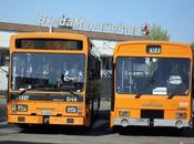 Modelli autobus: storia Menarini Monocar