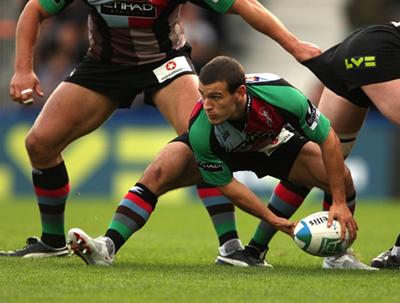 A real Challenge for Harlequins