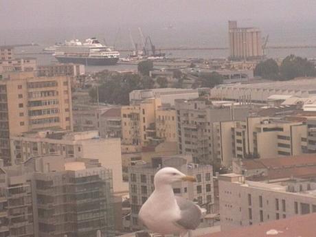 prinsendam a cagliari!