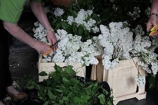 Royal wedding: foresta incantata in chiesa