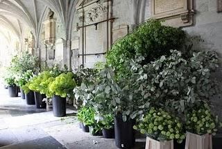 Royal wedding: foresta incantata in chiesa