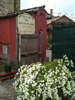 Locanda del Gelso Bianco