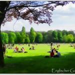 chiken wire, uscire dalla rete del pollaio