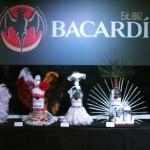 Bacardi Restyling Magnum 2