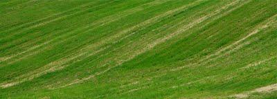 un po' di Marche (omaggio a Franco Fontana)