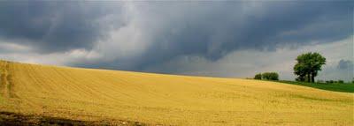 un po' di Marche (omaggio a Franco Fontana)